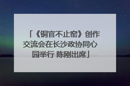 《铜官不止窑》创作交流会在长沙政协同心园举行 陈刚出席