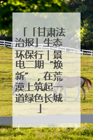 「甘肃法治报」生态环保行｜景电二期“焕新”，在荒漠上筑起一道绿色长城