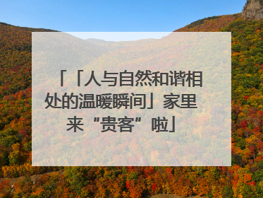 「人与自然和谐相处的温暖瞬间」家里来“贵客”啦