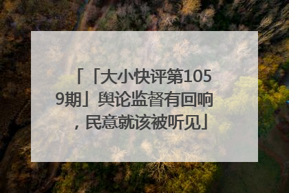 「大小快评第1059期」舆论监督有回响，民意就该被听见