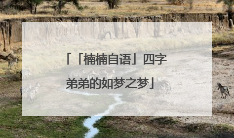 「楠楠自语」四字弟弟的如梦之梦