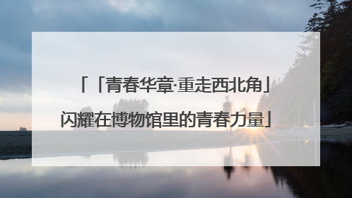 「青春华章·重走西北角」闪耀在博物馆里的青春力量