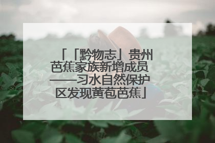 「黔物志」贵州芭蕉家族新增成员——习水自然保护区发现黄苞芭蕉