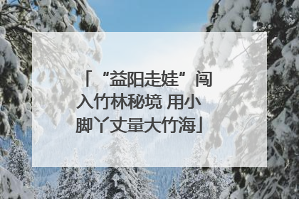“益阳走娃”闯入竹林秘境 用小脚丫丈量大竹海