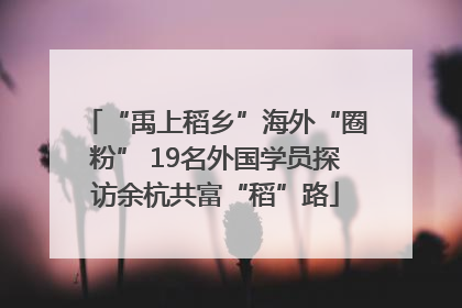 “禹上稻乡”海外“圈粉” 19名外国学员探访余杭共富“稻”路