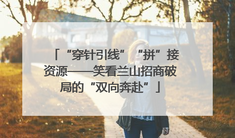 “穿针引线”“拼”接资源——笑看兰山招商破局的“双向奔赴”
