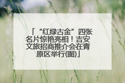 “红绿古金”四张名片惊艳亮相！吉安文旅招商推介会在青原区举行(图)