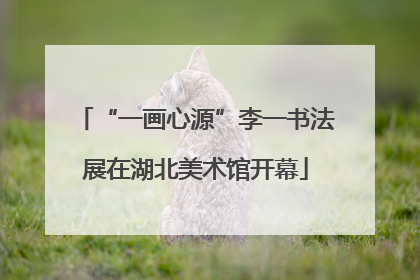“一画心源”李一书法展在湖北美术馆开幕