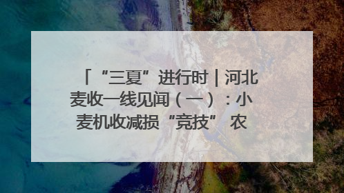 “三夏”进行时｜河北麦收一线见闻（一）：小麦机收减损“竞技” 农机高手麦田“过招”