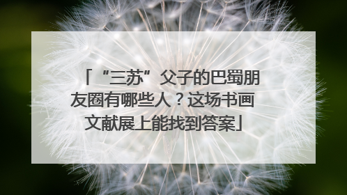 “三苏”父子的巴蜀朋友圈有哪些人？这场书画文献展上能找到答案