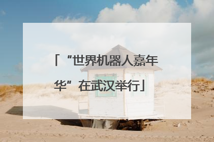 “世界机器人嘉年华”在武汉举行