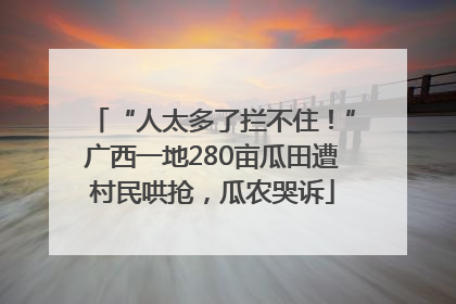 “人太多了拦不住！”广西一地280亩瓜田遭村民哄抢，瓜农哭诉