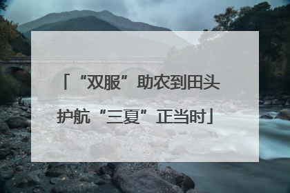 “双服”助农到田头 护航“三夏”正当时