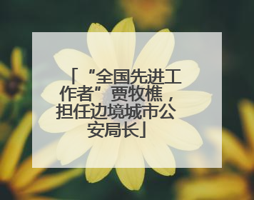 “全国先进工作者”贾牧樵，担任边境城市公安局长