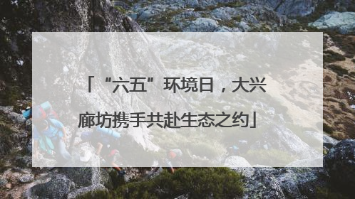 “六五”环境日，大兴廊坊携手共赴生态之约