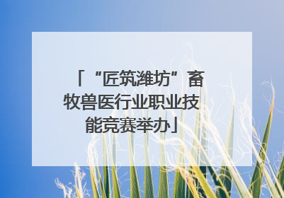 “匠筑潍坊”畜牧兽医行业职业技能竞赛举办