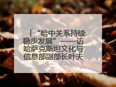 “哈中关系持续稳步发展”——访哈萨克斯坦文化与信息部副部长叶夫根尼·科切托夫