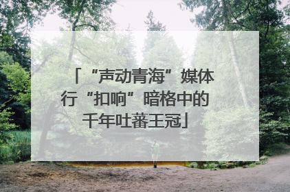 “声动青海”媒体行“扣响”暗格中的千年吐蕃王冠