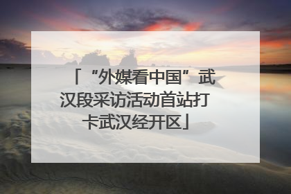 “外媒看中国”武汉段采访活动首站打卡武汉经开区