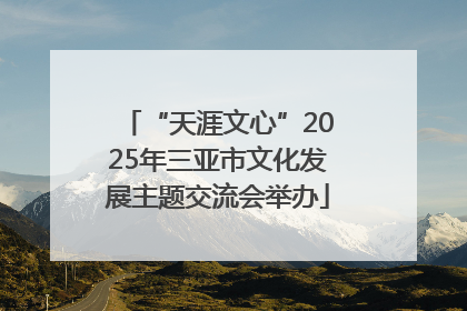 “天涯文心”2025年三亚市文化发展主题交流会举办