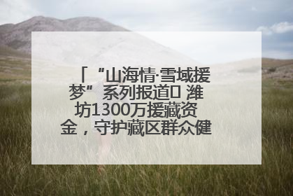 “山海情·雪域援梦”系列报道⑪ 潍坊1300万援藏资金，守护藏区群众健康“最后一公里”