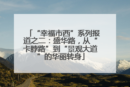 “幸福市西”系列报道之二：盛华路，从“卡脖路”到“景观大道”的华丽转身
