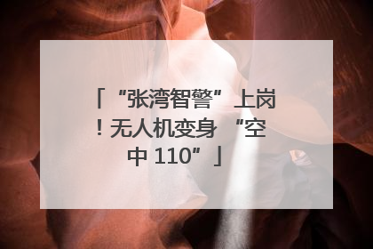 “张湾智警”上岗！无人机变身 “空中 110”