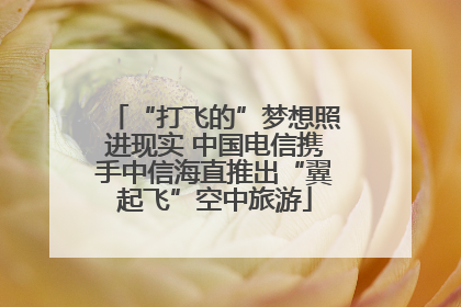 “打飞的”梦想照进现实 中国电信携手中信海直推出“翼起飞”空中旅游