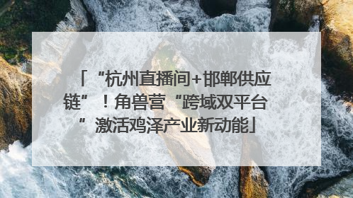“杭州直播间+邯郸供应链”！角兽营“跨域双平台”激活鸡泽产业新动能