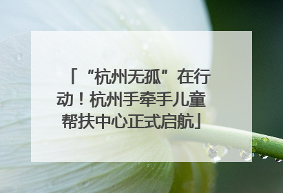 “杭州无孤”在行动！杭州手牵手儿童帮扶中心正式启航