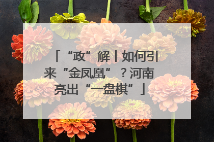 “政”解丨如何引来“金凤凰”？河南亮出“一盘棋”