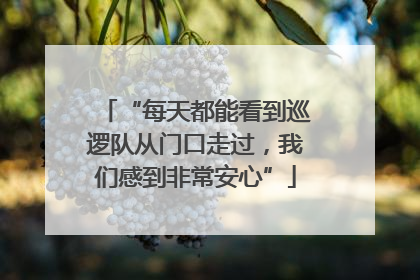 “每天都能看到巡逻队从门口走过，我们感到非常安心”