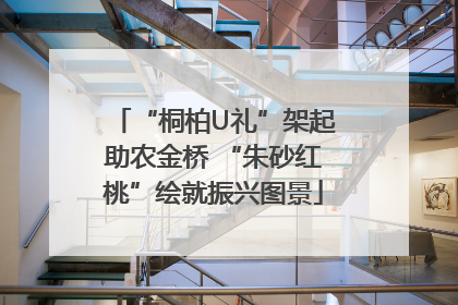 “桐柏U礼”架起助农金桥 “朱砂红桃”绘就振兴图景