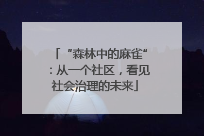 “森林中的麻雀”：从一个社区，看见社会治理的未来