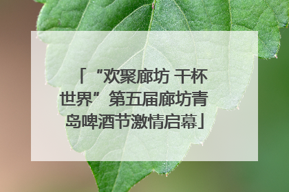 “欢聚廊坊 干杯世界”第五届廊坊青岛啤酒节激情启幕