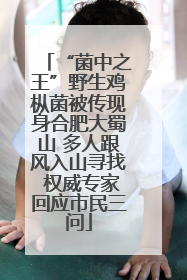 “菌中之王”野生鸡枞菌被传现身合肥大蜀山 多人跟风入山寻找 权威专家回应市民三问