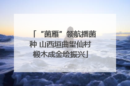 “菌雁”领航播菌种 山西垣曲望仙村椴木成金绘振兴