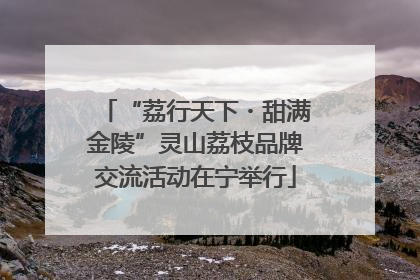 “荔行天下・甜满金陵”灵山荔枝品牌交流活动在宁举行