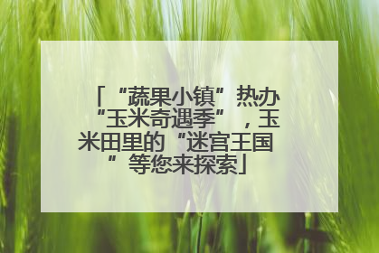 “蔬果小镇”热办“玉米奇遇季”，玉米田里的“迷宫王国”等您来探索