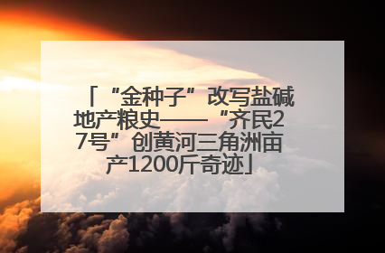 “金种子”改写盐碱地产粮史——“齐民27号”创黄河三角洲亩产1200斤奇迹