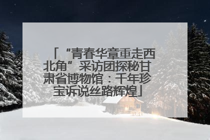 “青春华章重走西北角”采访团探秘甘肃省博物馆：千年珍宝诉说丝路辉煌