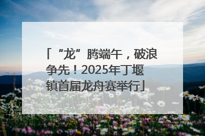 “龙”腾端午，破浪争先！2025年丁堰镇首届龙舟赛举行