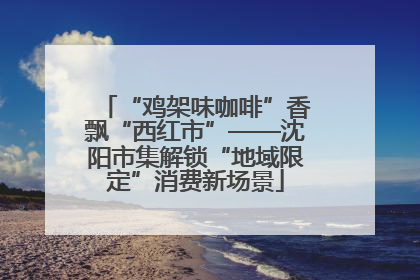“鸡架味咖啡”香飘“西红市”——沈阳市集解锁“地域限定”消费新场景