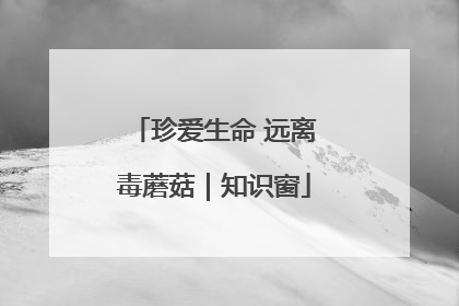 珍爱生命 远离毒蘑菇｜知识窗