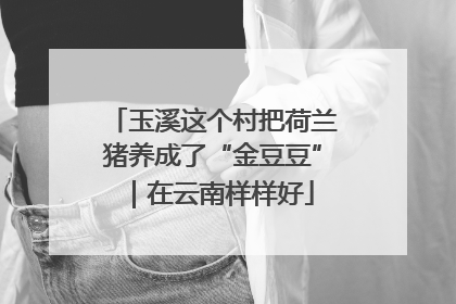 玉溪这个村把荷兰猪养成了“金豆豆”｜在云南样样好
