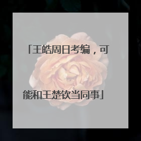 王皓周日考编，可能和王楚钦当同事