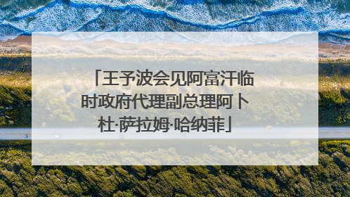 王予波会见阿富汗临时政府代理副总理阿卜杜·萨拉姆·哈纳菲
