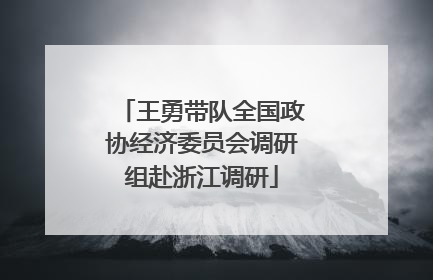 王勇带队全国政协经济委员会调研组赴浙江调研
