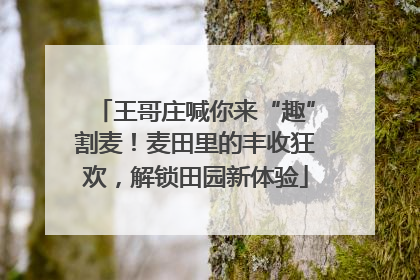 王哥庄喊你来“趣”割麦！麦田里的丰收狂欢，解锁田园新体验