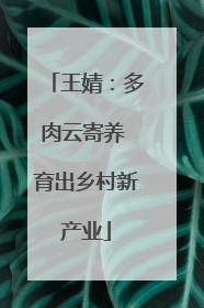 王婧：多肉云寄养 育出乡村新产业